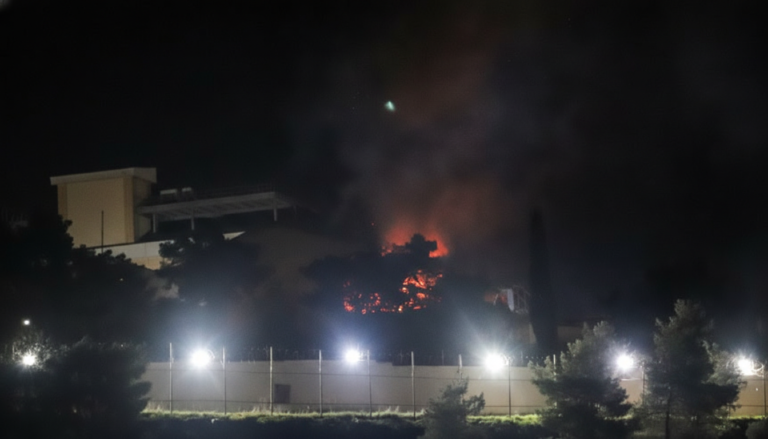 Whisk_f4489373bdb28c2acd5444856744a1fddr