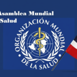 Whisk_4fb8374b3c2c956b0fa47ba7c016c2c0dr