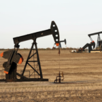 Whisk_51374da4a5e3ab5a0014a2e682a31f78dr