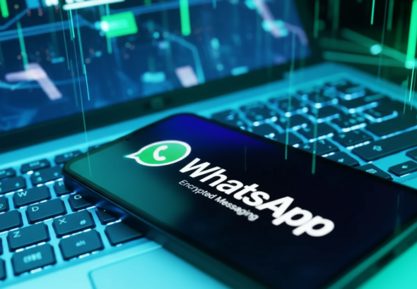 Whisk_db13de921d1e29d967c4ea68265f6e99dr