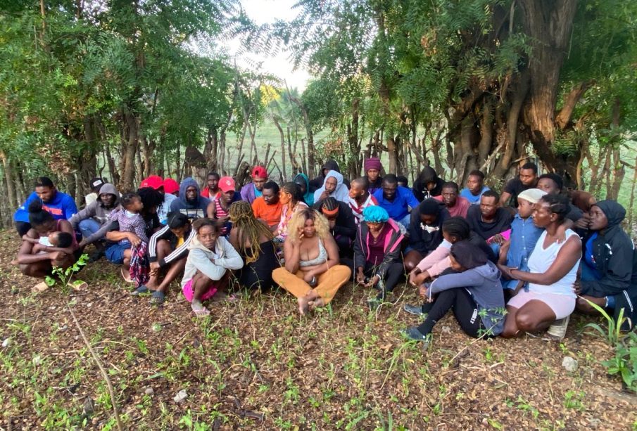 eeffece6-4fb6-42b3-8e52-7ba358a1c9e4-905x613