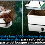 Quitar_logo_cambiar_letras_azul_202606291243