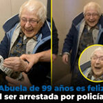 Plantilla Punto Curioso