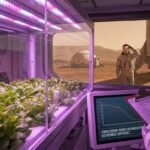 NASA_cultiva_lechugas_en_espacio_202609051752