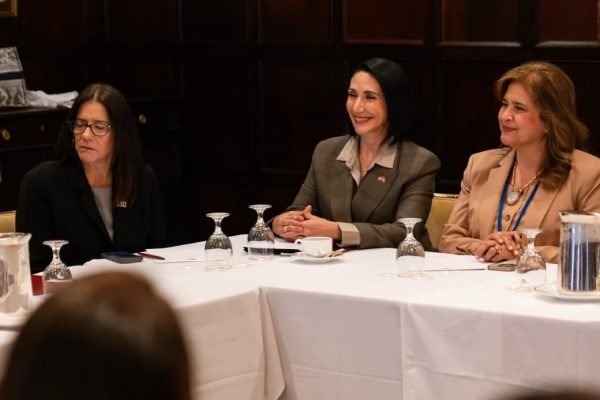 Raquel-Arbaje-comparte-iniciativas-en-favor-de-la-ninez-en-encuentro-en-Nueva-York-5-e1790131100641-1
